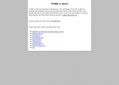 YTMND is down! WHY?! (Sound fixed, co-op wanted)