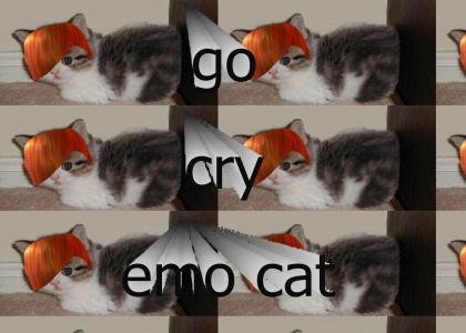 emo cat