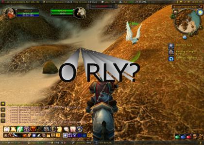 World of Warcraft: O RLY OWL LIVES