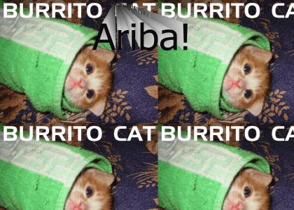 Burrito Cat!