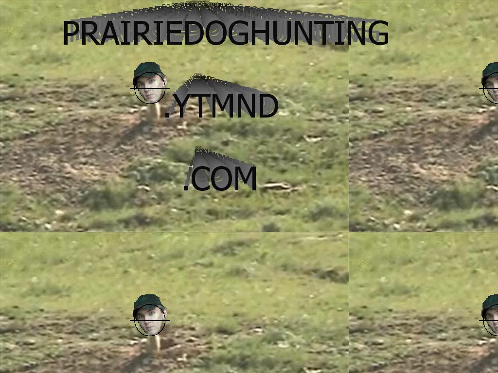 prairiedoghunting
