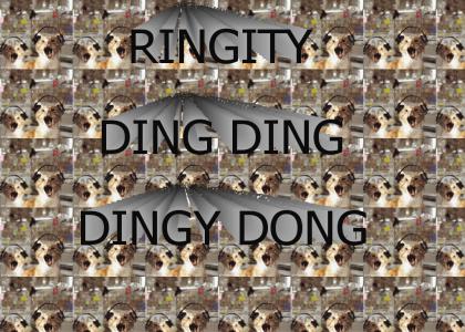 Ringity Ding Ding
