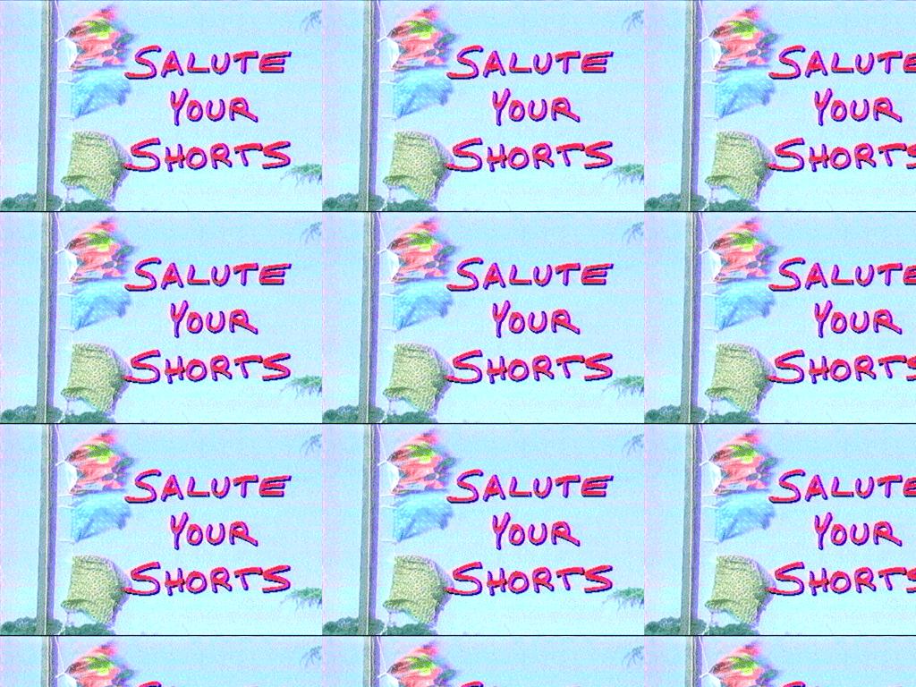 saluteyourshorts1