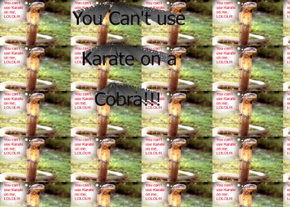 Can't use Karate on a cobra