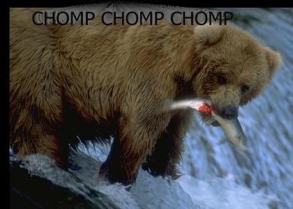 CHOMPTMND - Bear Chomp