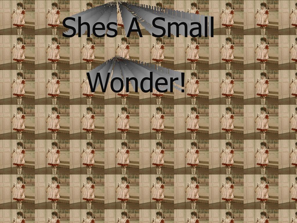smallwonder