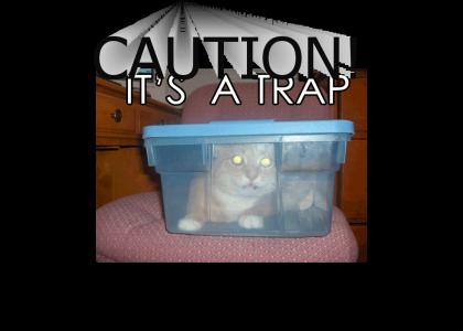 Caution! Its a trap
