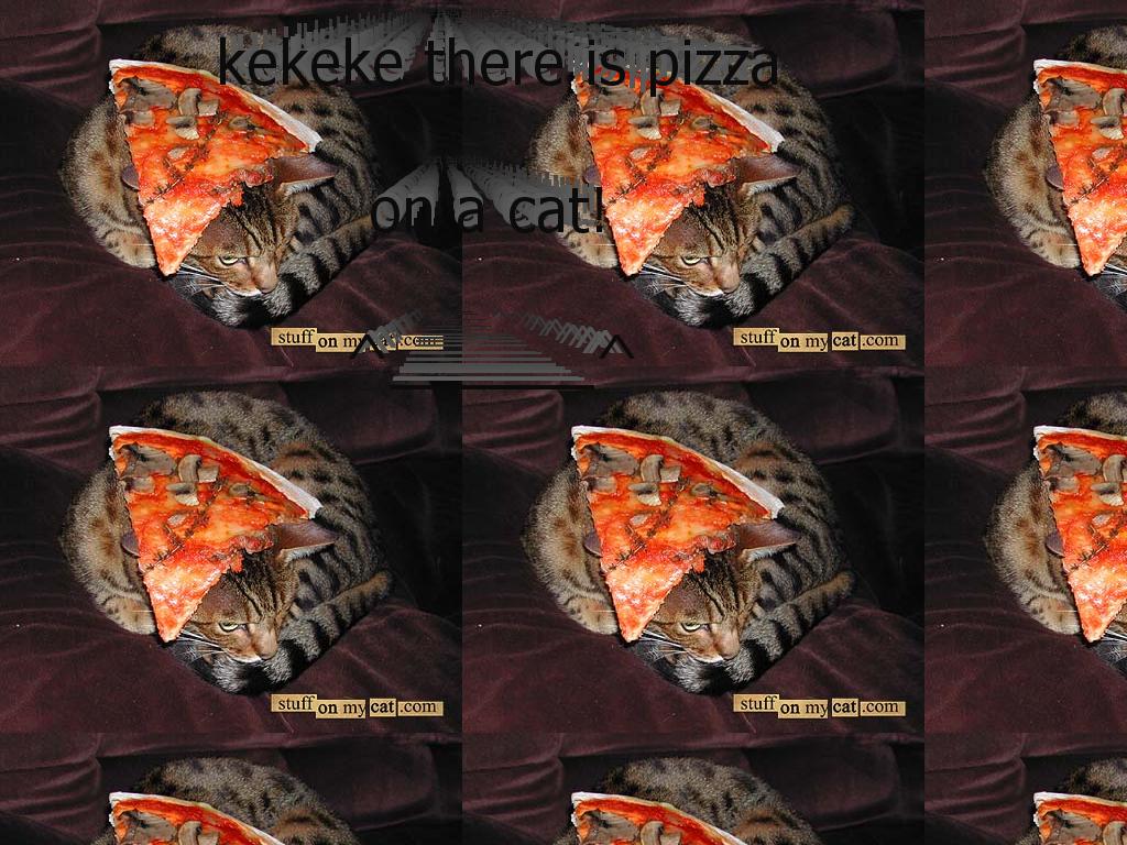pizzaoncat