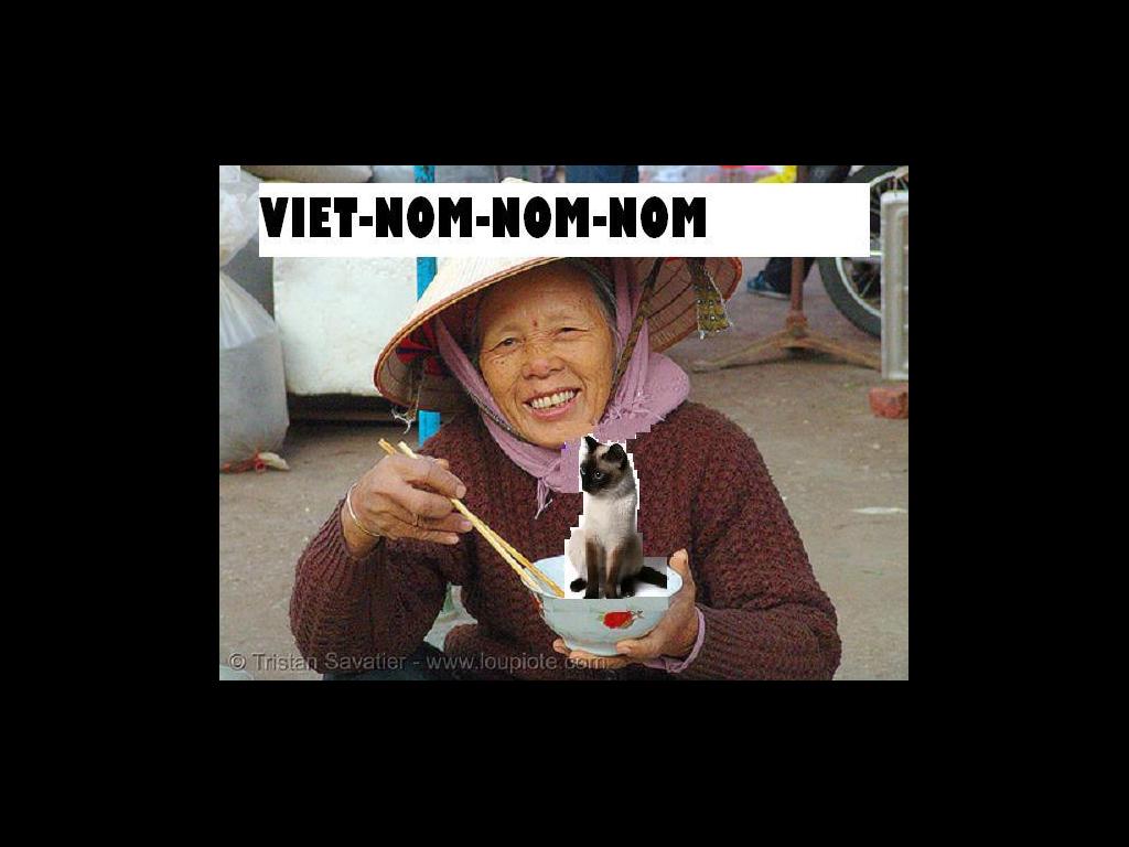 vietnomnomnom