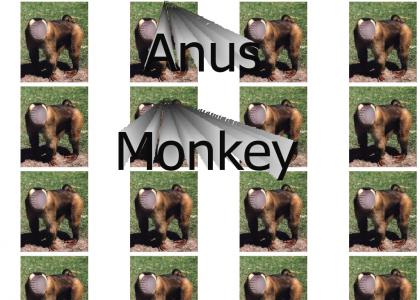 Anus Monkey Song