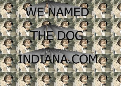 We Named The Dog Indiana