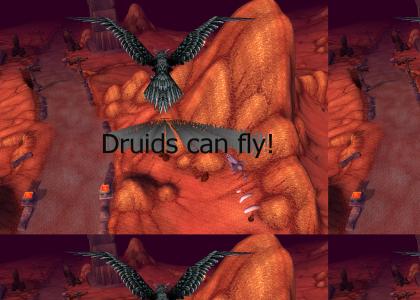 I Believe Druids Can Fly