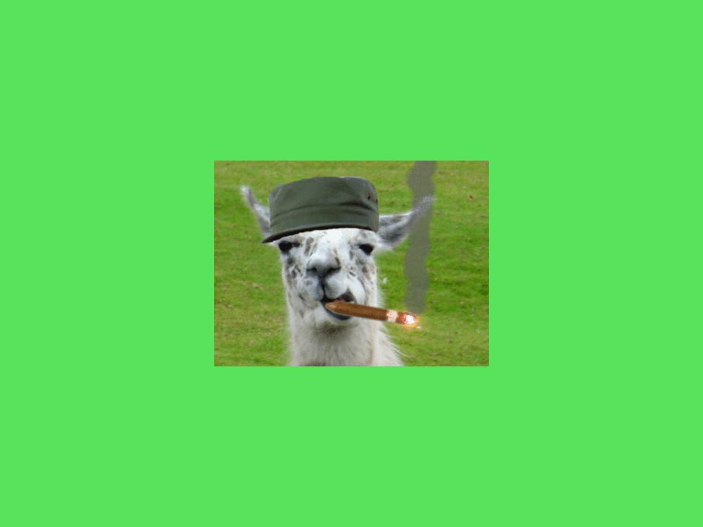 CommunistLlama