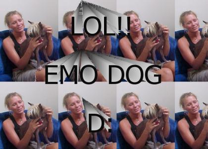 Emo dog ftw