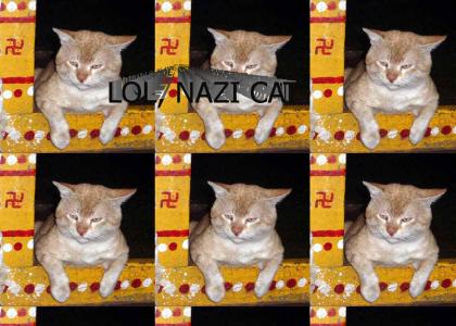 OMG SECRET NAZI KITTY CAT!!!!!!!!