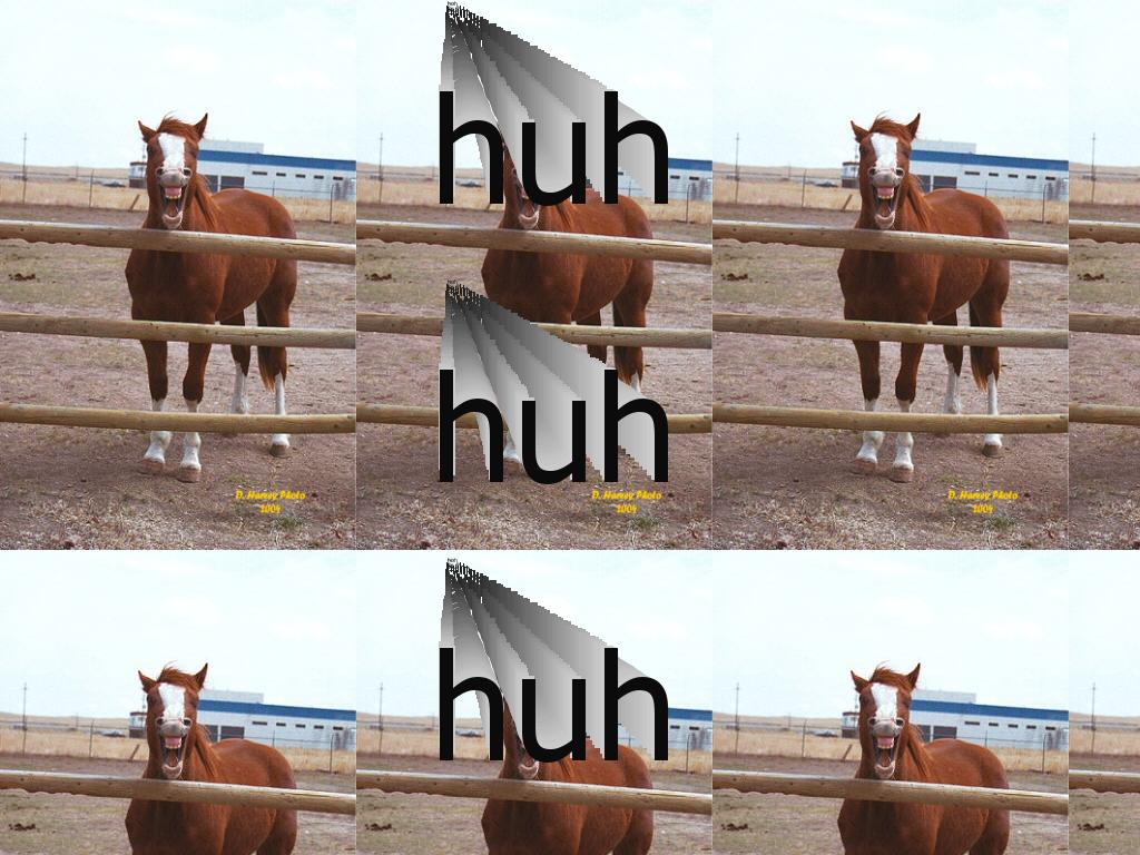 retardedhorse