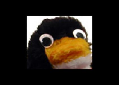 Mr. Flibble Stares Into Your Soul