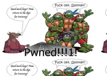 Splinter just got PWNED!!1!