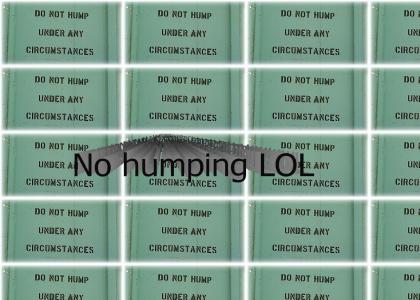 no humping (the sound got all messed up, sorry)