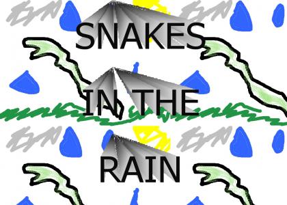 SNAKES IN...THE RAIN?!