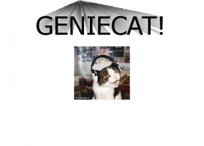 GenieCat