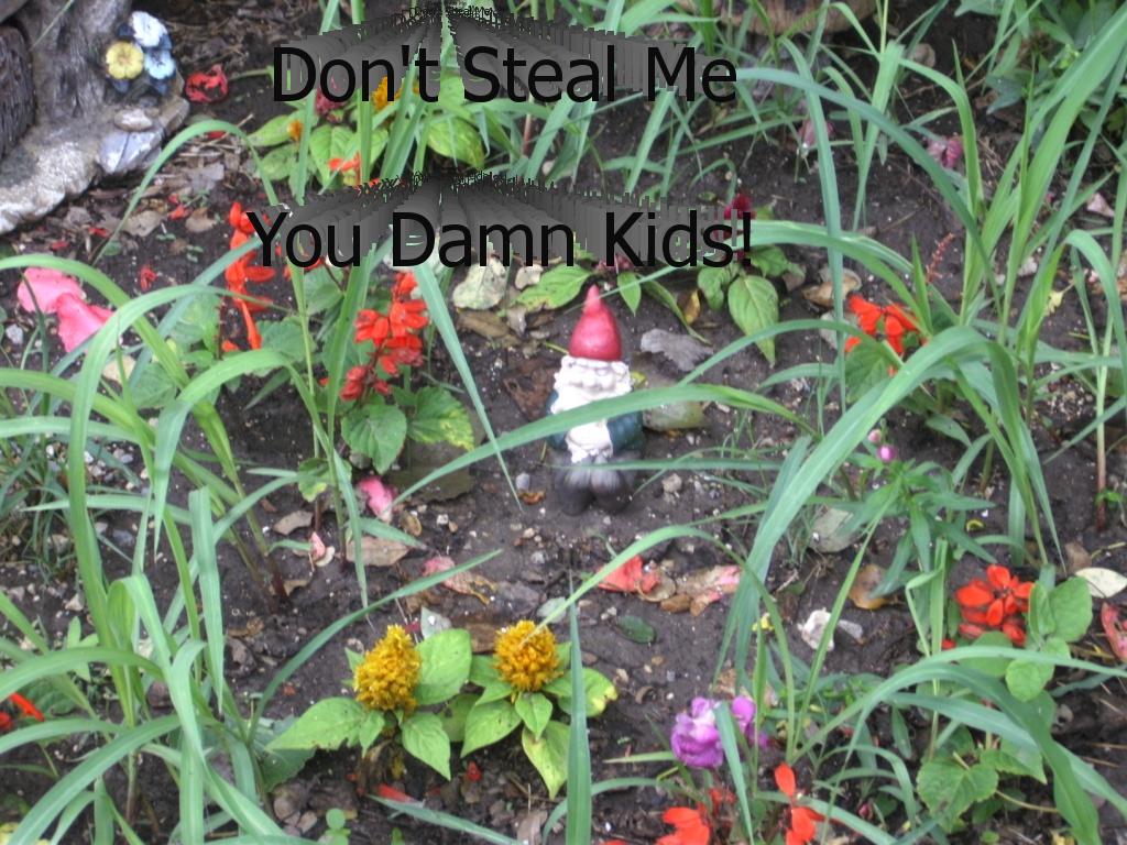 DontStealTheGnome