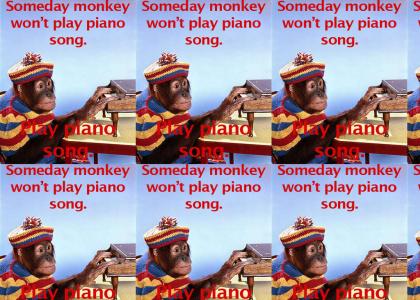 someday monkey won't play piano song