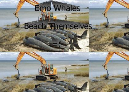 Emo Suicide Whales!