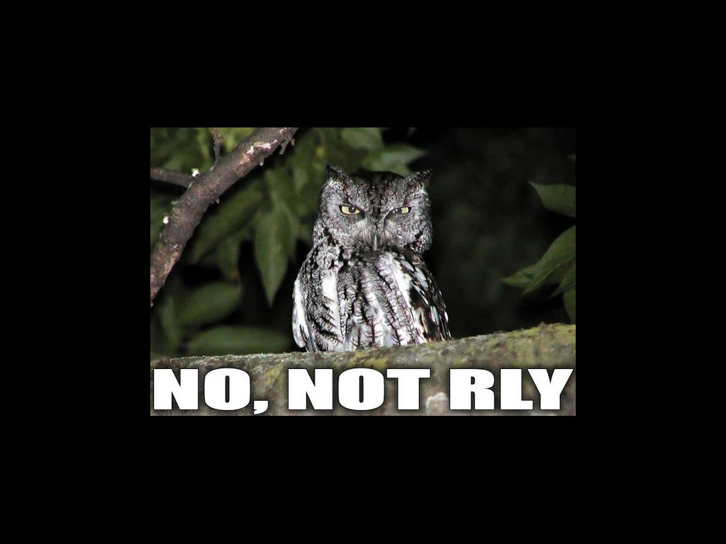 nonotrlyowl