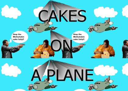 CAKES ON A PLANE!!!!!!!!!