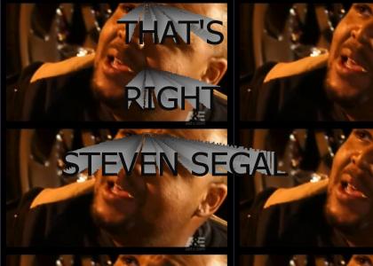 Aw man that's Steven Segal!