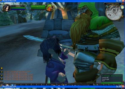 World of Warcraft (What Gnomes and Dwarves do when your logged out)
