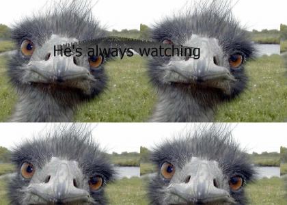 I'll be watching you!