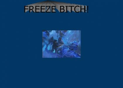 Freeze Bitch!
