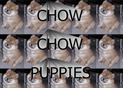 puppies (audio two)