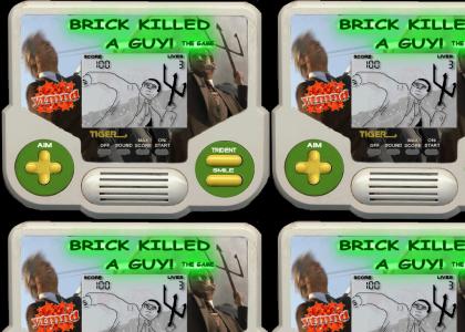 VI: Brick Killed a Tiger Handheld