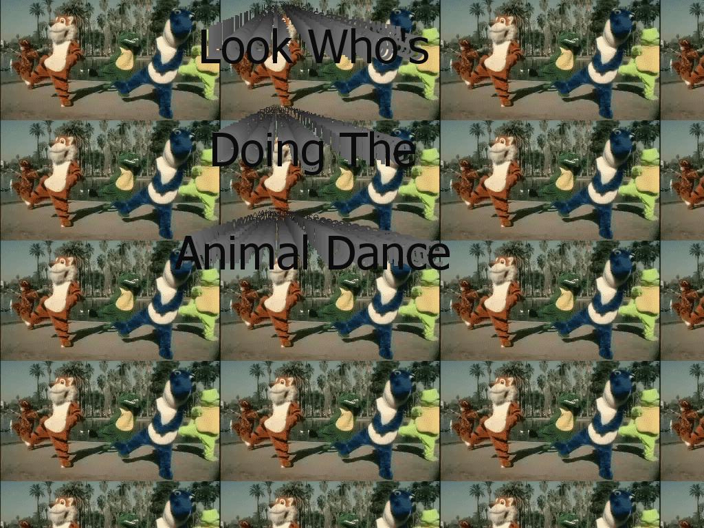 animalpoopdance
