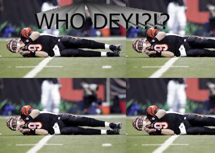 WHO DEY  STEELERS VS BENGALS