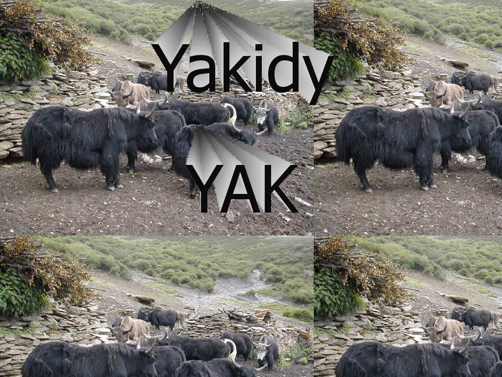 Yakidy