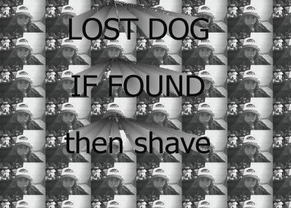 MISSING DOG