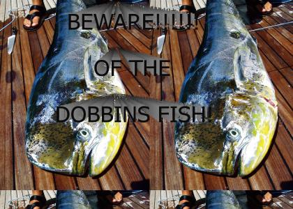 Dobbins Fish