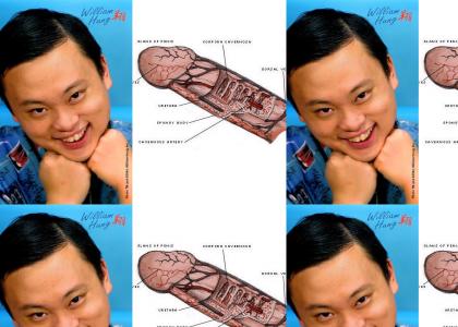 WIlliam Hung Wants You To Buy Him Penis