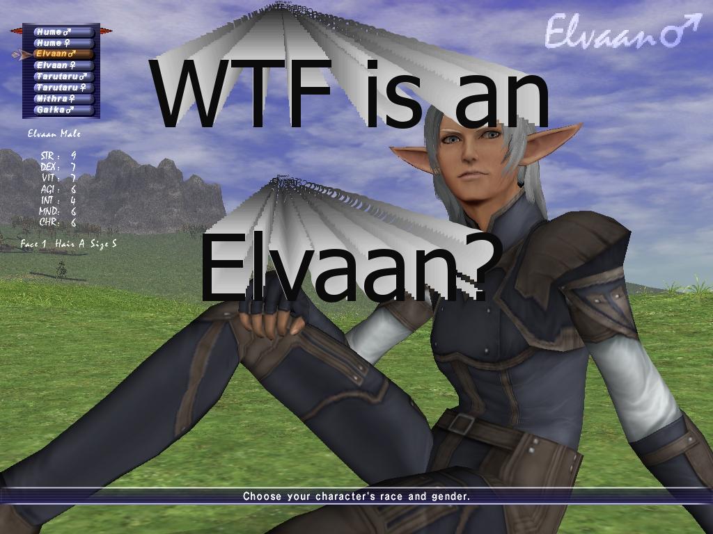 wtfisanelvaan