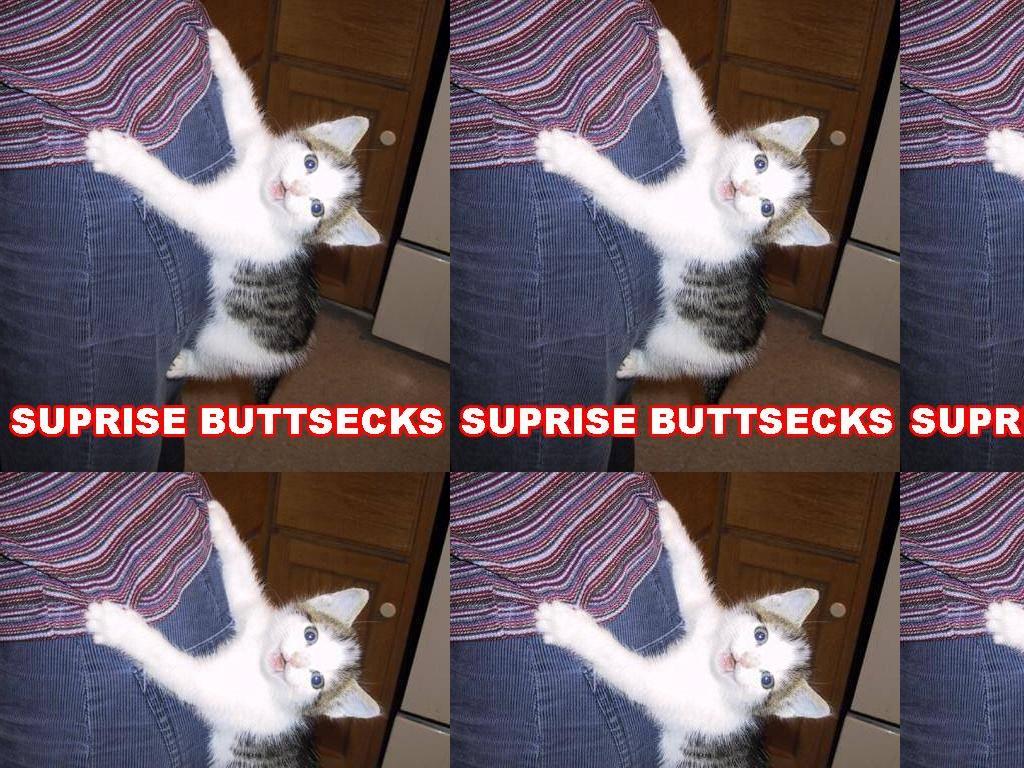 buttseckskitty