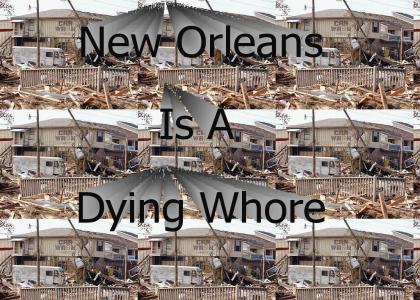 New Orleans is a Dying Whore