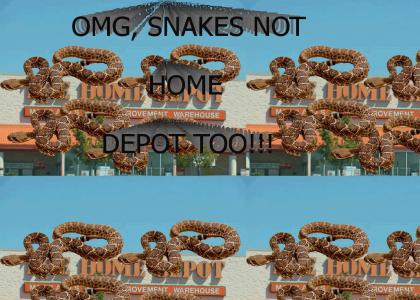 Snakes on...Home Depot?!