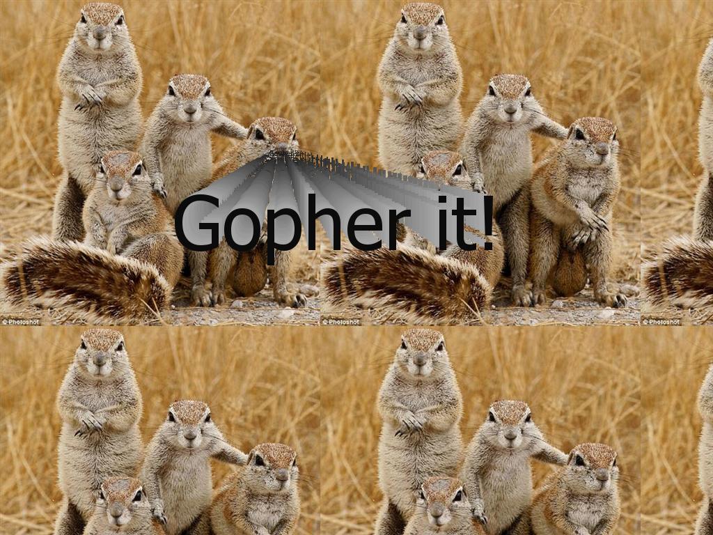 gopherit