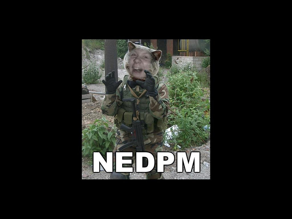 nedpm