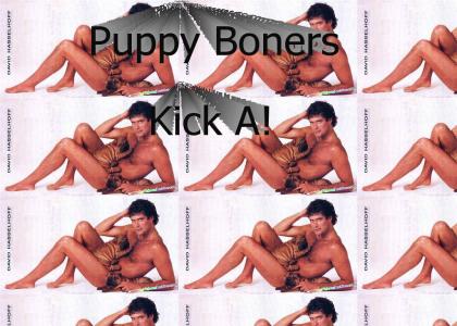 Hasselhoff's Puppy Boneration