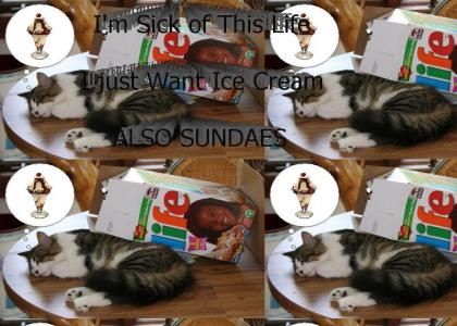 Cat is sick of Life, Wants Ice Cream